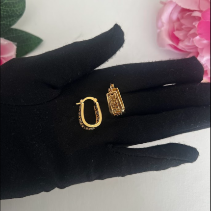 Gold plated sleeper earrings