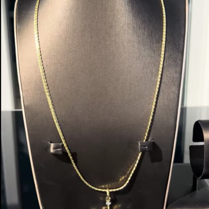 Long chain & pendant combo